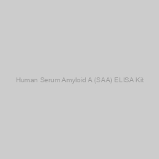 Image of Human Serum Amyloid A (SAA) ELISA Kit